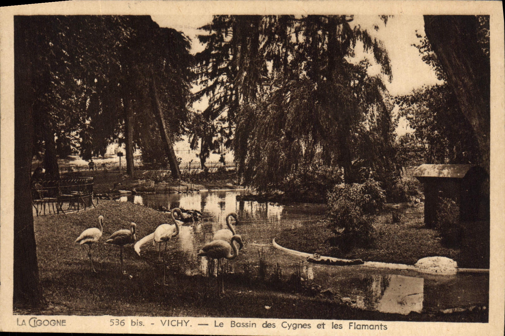 CPA Vichy Le Bassin Des Cygnes Et Les Flamants