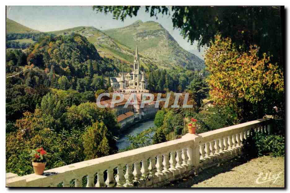 CPA Lourdes La Basilique Et Le Gave