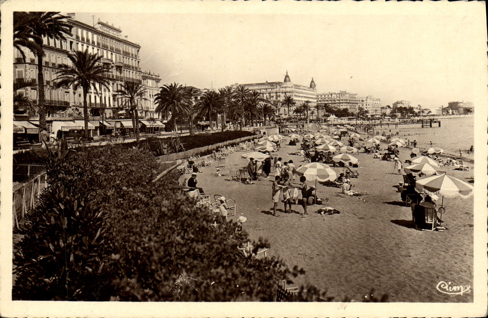 CPA Cannes La Plage Et Les Hotels