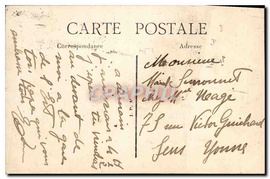 CPA Paris Jardin Des Plantes Musee Zoologique Kangourous grimpeurs Dendrolagues  — Rückseite