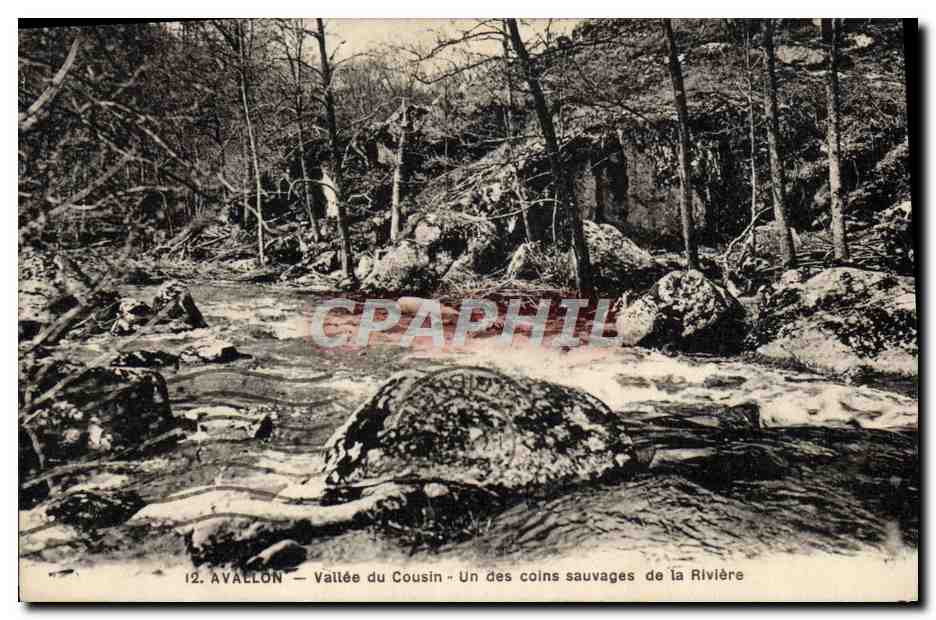 Avallon — Tal des Cousin — Eines der wilden Ecken der Fluss