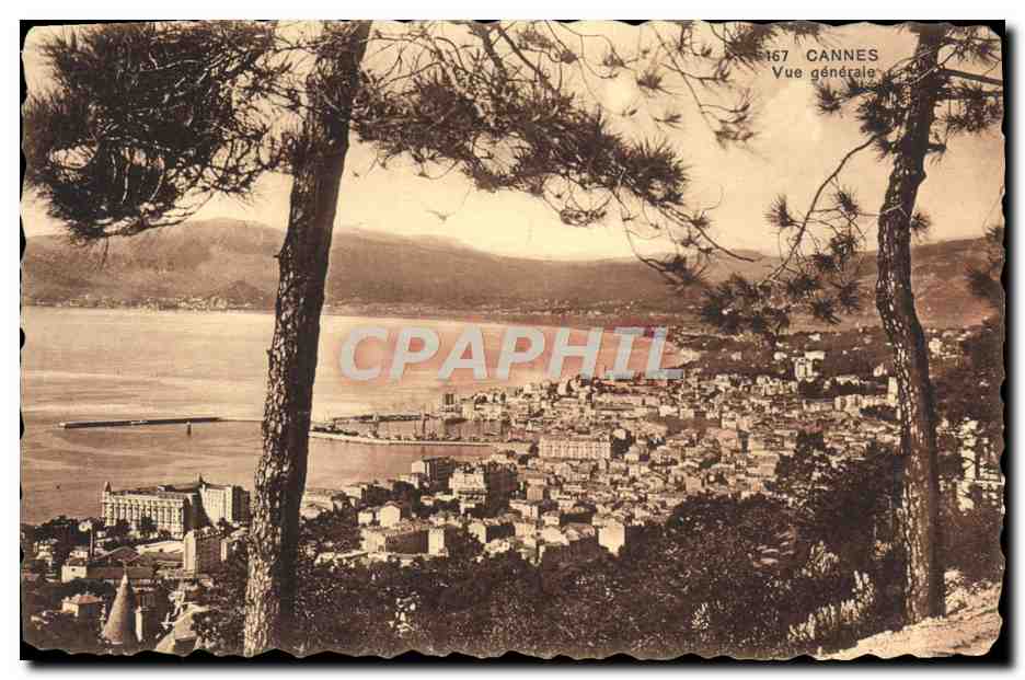 CPA Cannes Vue Generale