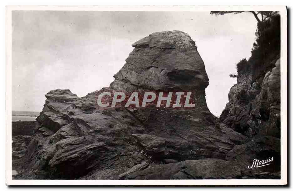 CPM La Bernerie Le Rocher De Roche Grise