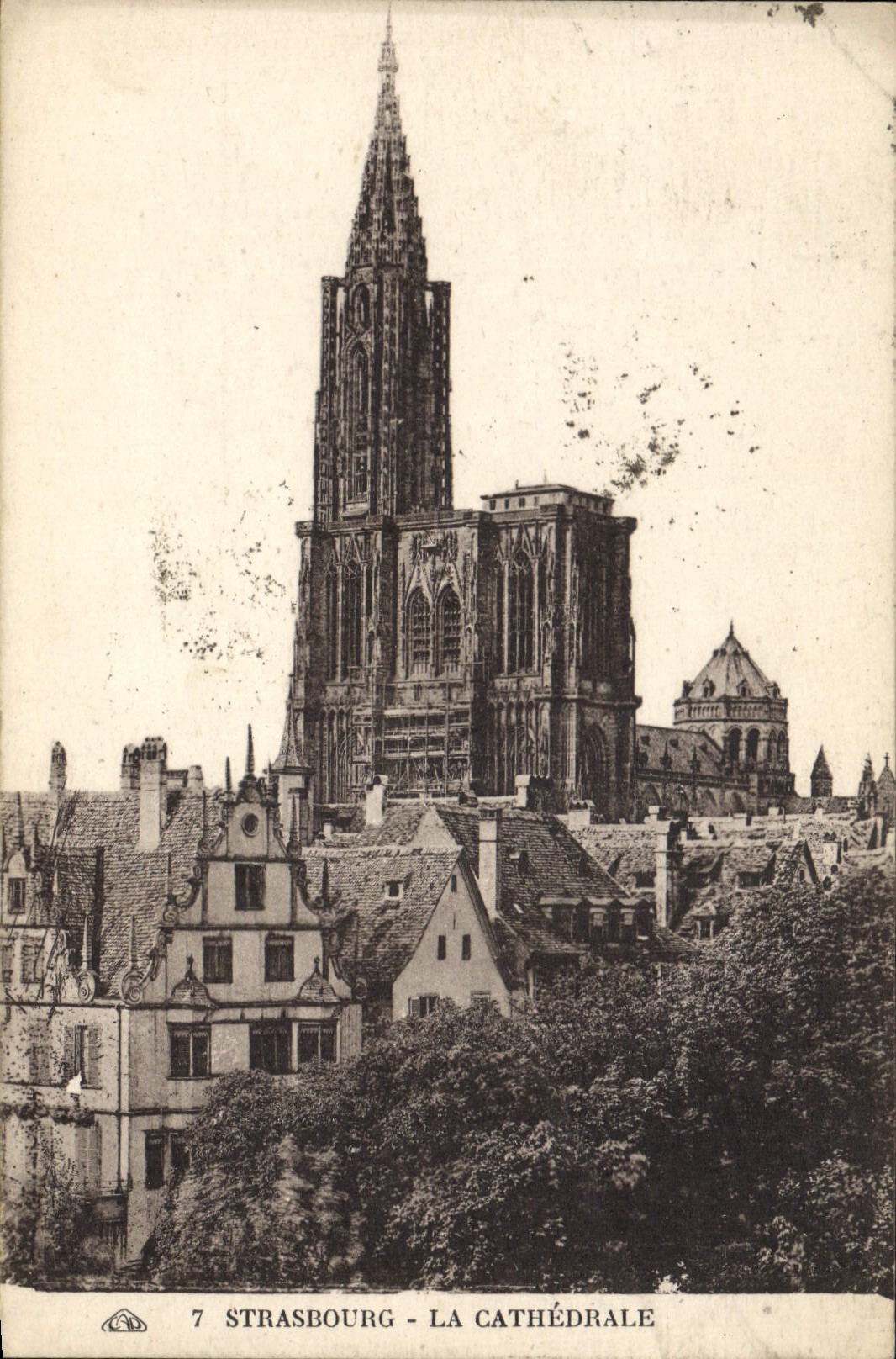 CPA Strasbourg La Cathedrale