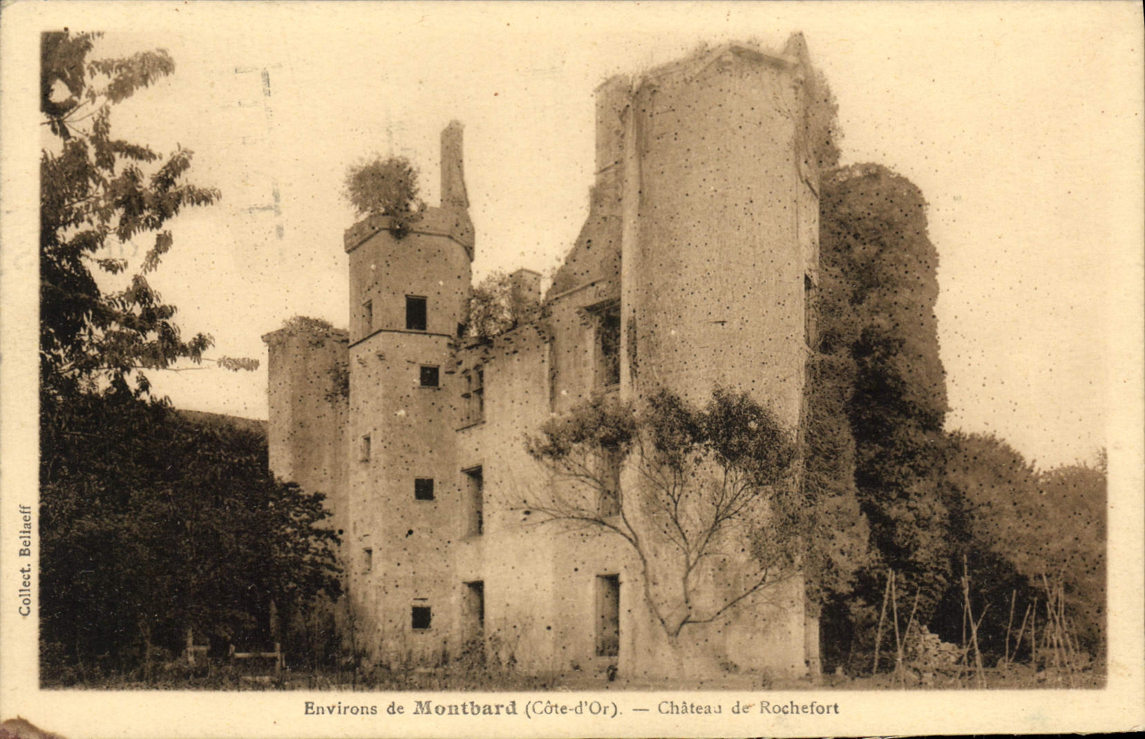 CPA Environs De Montbard Chateau De Rochefort