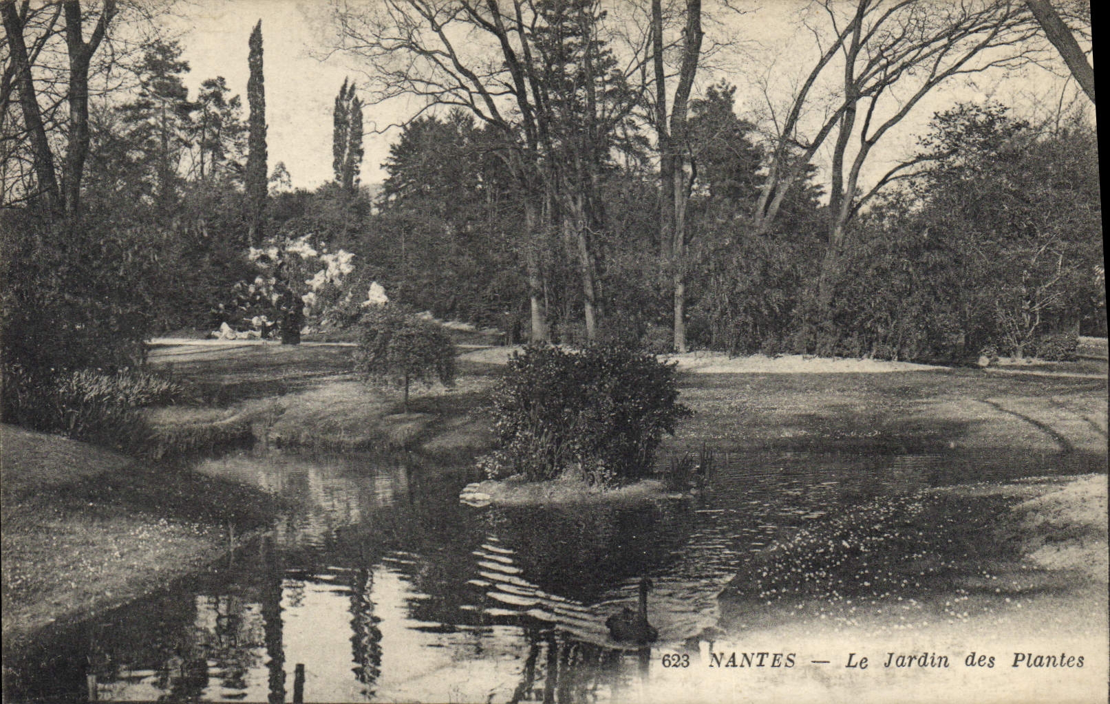 CPA Nantes Le Jardin Des Plantes