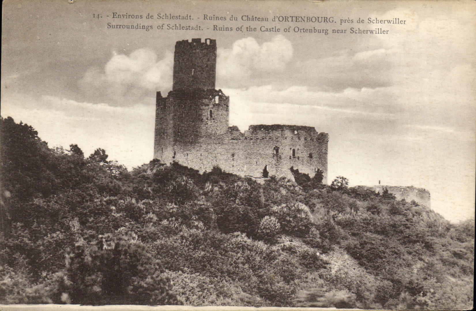 CPA Ruines Du Chateau D'Ortenbourg Pres De Scherwiller