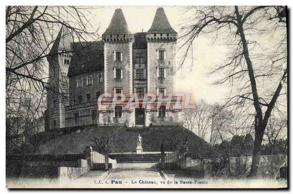 CPA Pau Le Chateau Vu De La Basse Plante