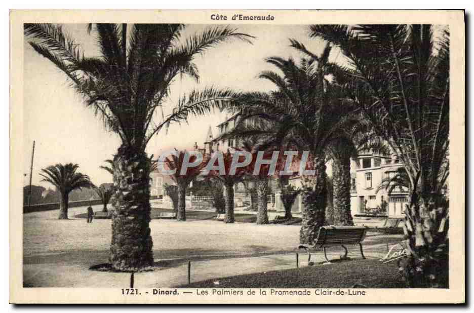 Dinard — Les Palmiers de la Promenade Clair-de-Lune — Côte d’Émeraude — n° 1721