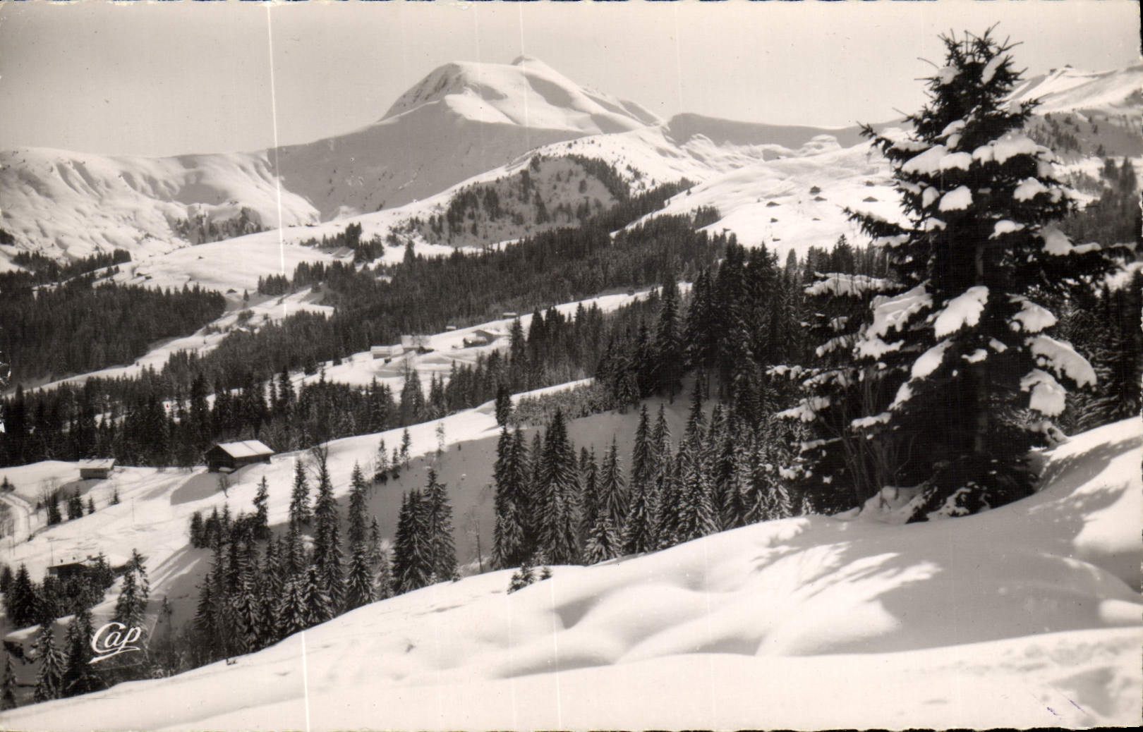 Le Mont Joly et les pistes de la Croix et des Communailles — Mont d'Arbois — C.A.P. (55) Réal-Photo