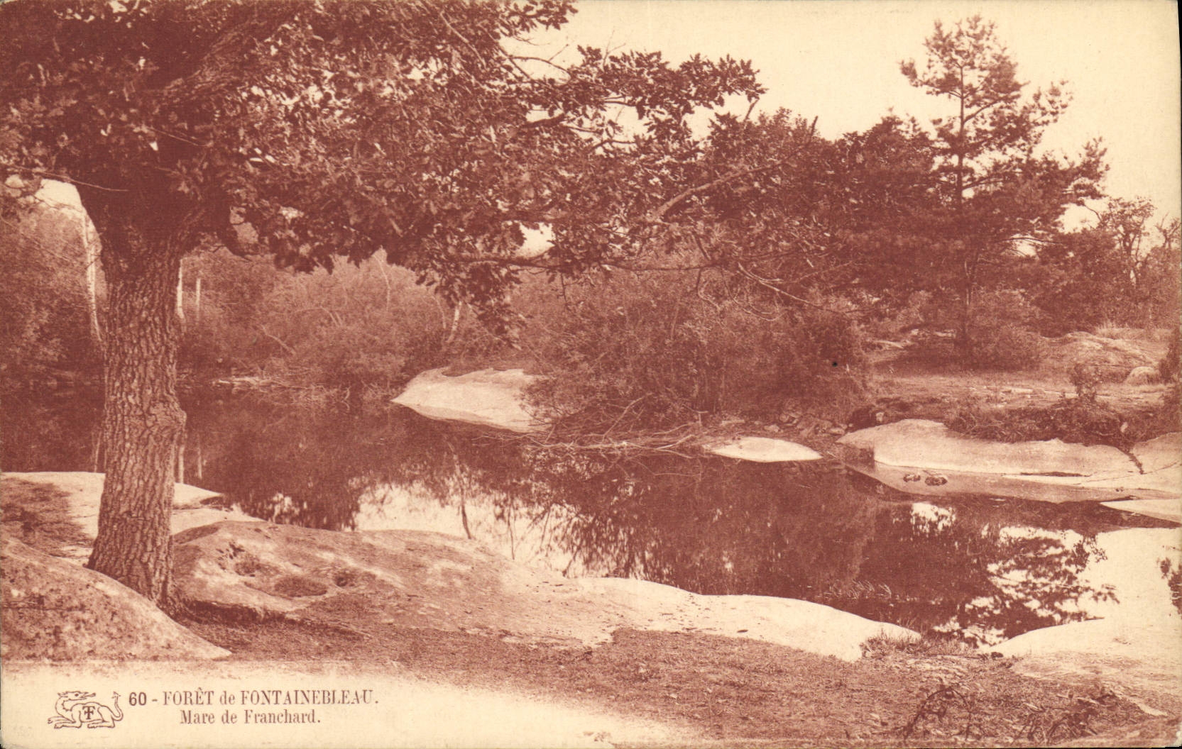 Foresta di Fontainebleau — Mare de Franchard — Editore sconosciuto, n. 60
