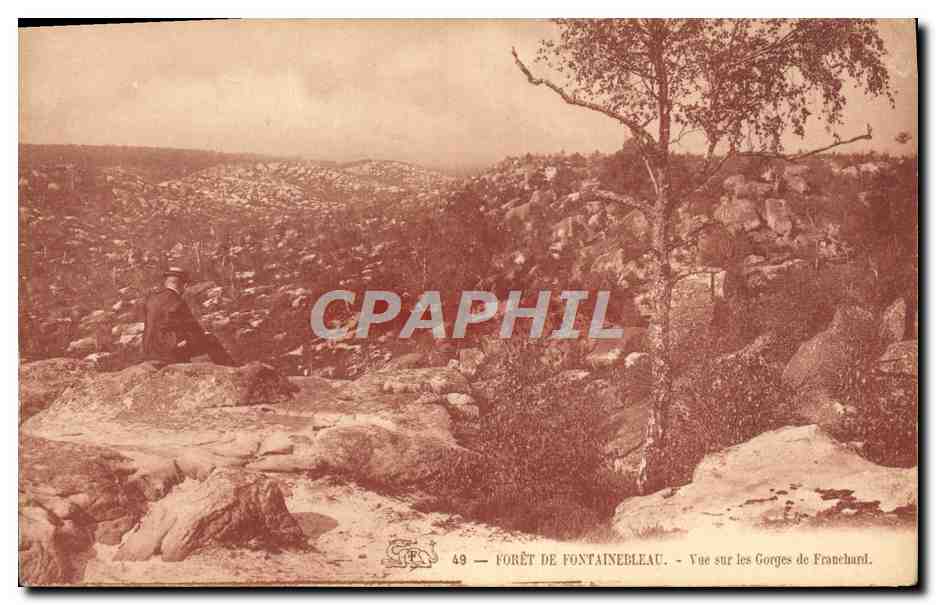 Forêt de Fontainebleau — Aussicht auf die Gorges de Franchard — CPAPHIL 49