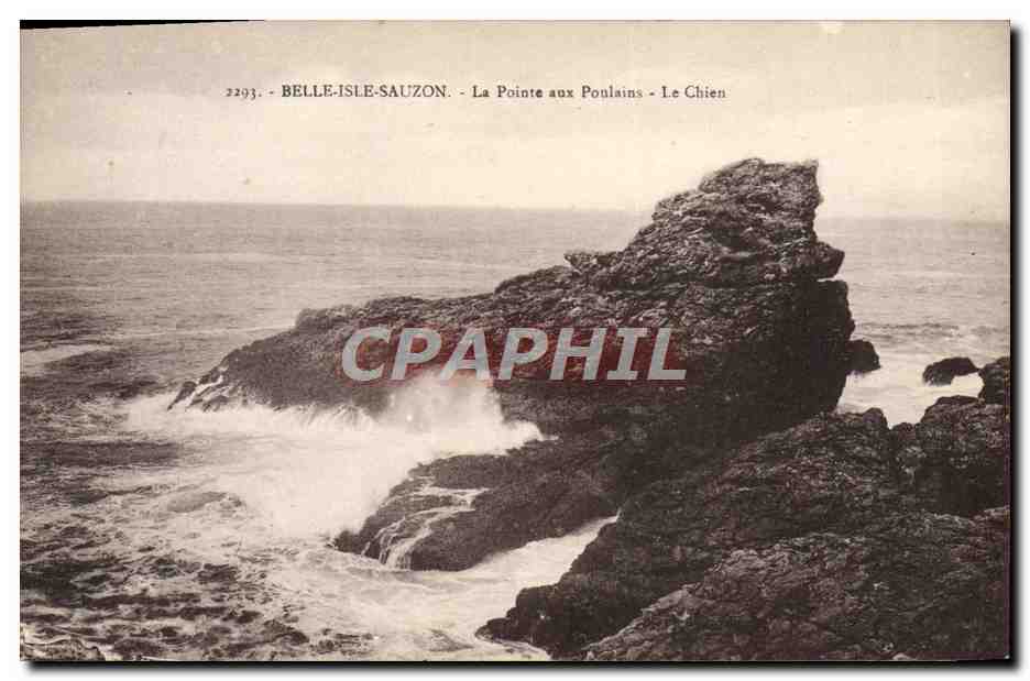 Belle-Île-Sauzon - La Pointe aux Poulaîns - Le Chien