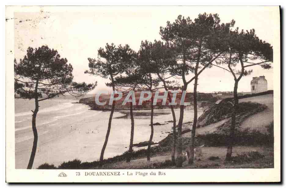 CPA Douarnenez La Plage du Ris