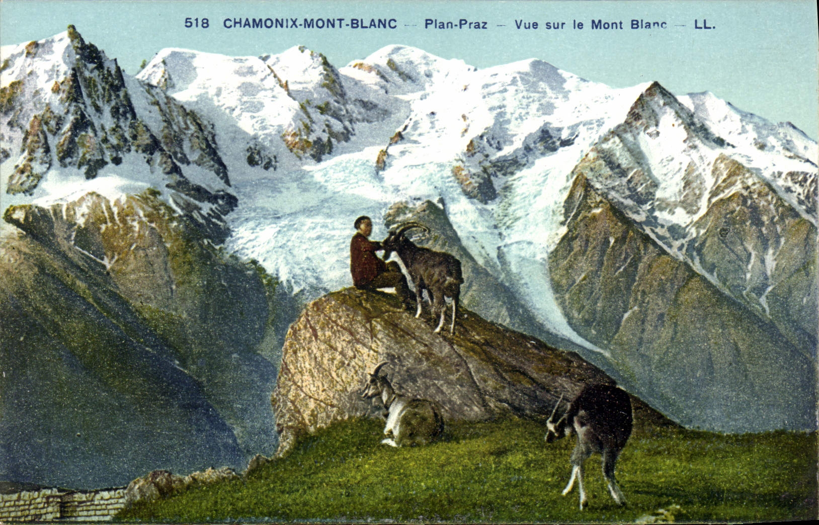 CPA Chamonix Mont Blanc Plan Praz Vue sur le Mont Blanc Chevre Bouc