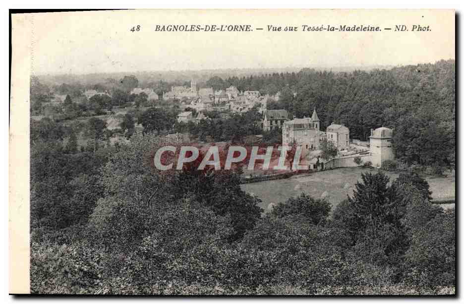 CPA Bagnoles De L'Orne Vue Sur Tesse la Madeleine