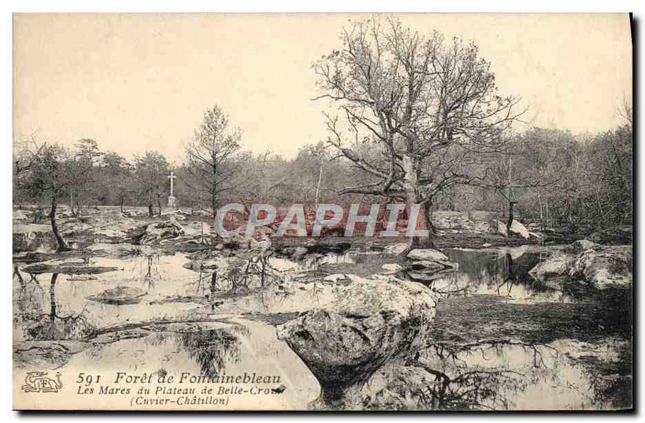 Le Mares del Plateau di Belle-Croix — Foresta di Fontainebleau — Cuvier-Châtillon