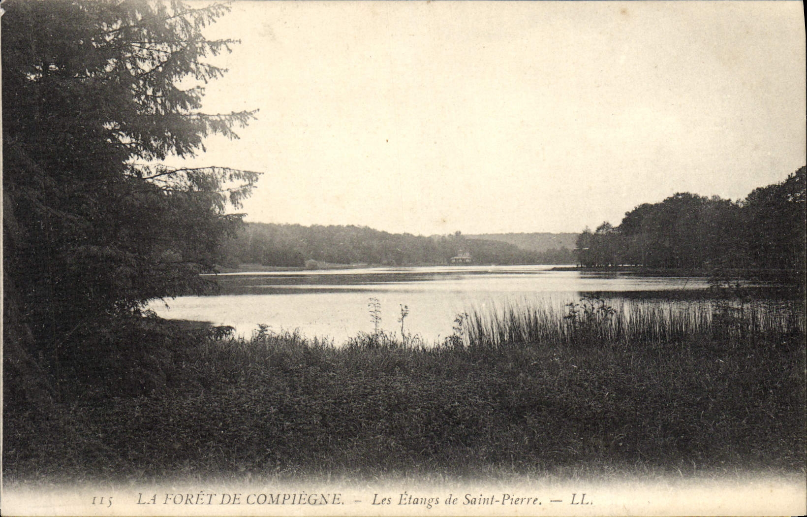 La Forêt de Compiègne — Les Étangs de Saint-Pierre — LL. — N° 115