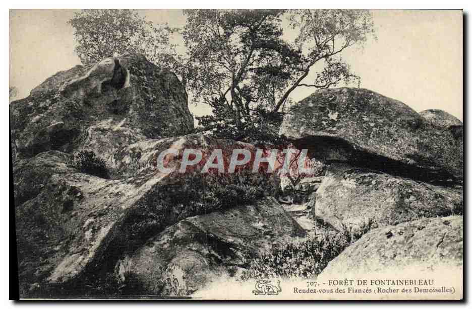 Foresta di Fontainebleau — Appuntamento degli Sposi (Rocher des Demoiselles) — n° 707