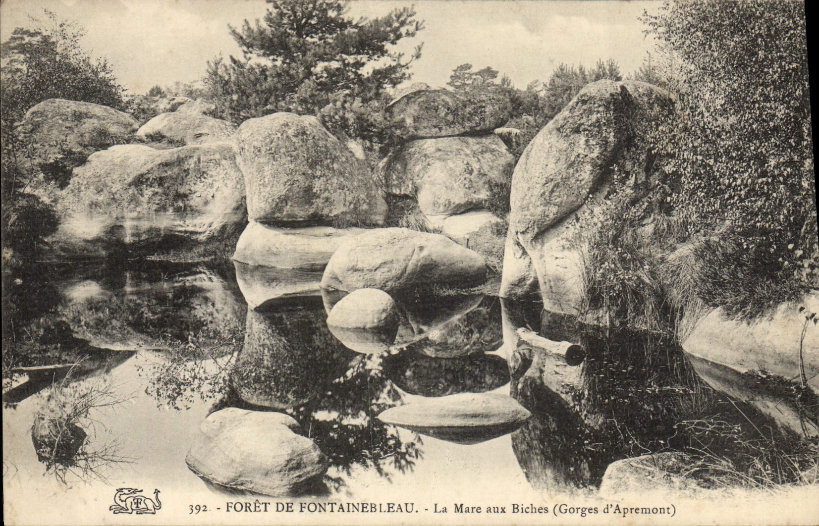 La Mare aux Biches (Gorges d'Apremont) — Foresta di Fontainebleau — n°392