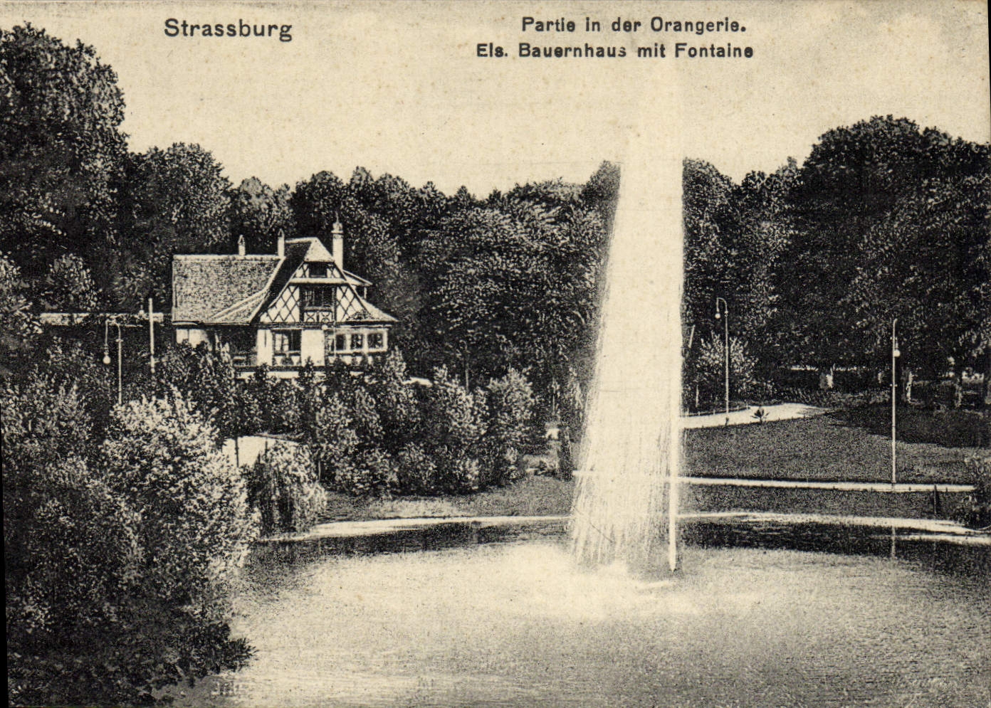 CPA Strassburg Partie In Der Orangerie