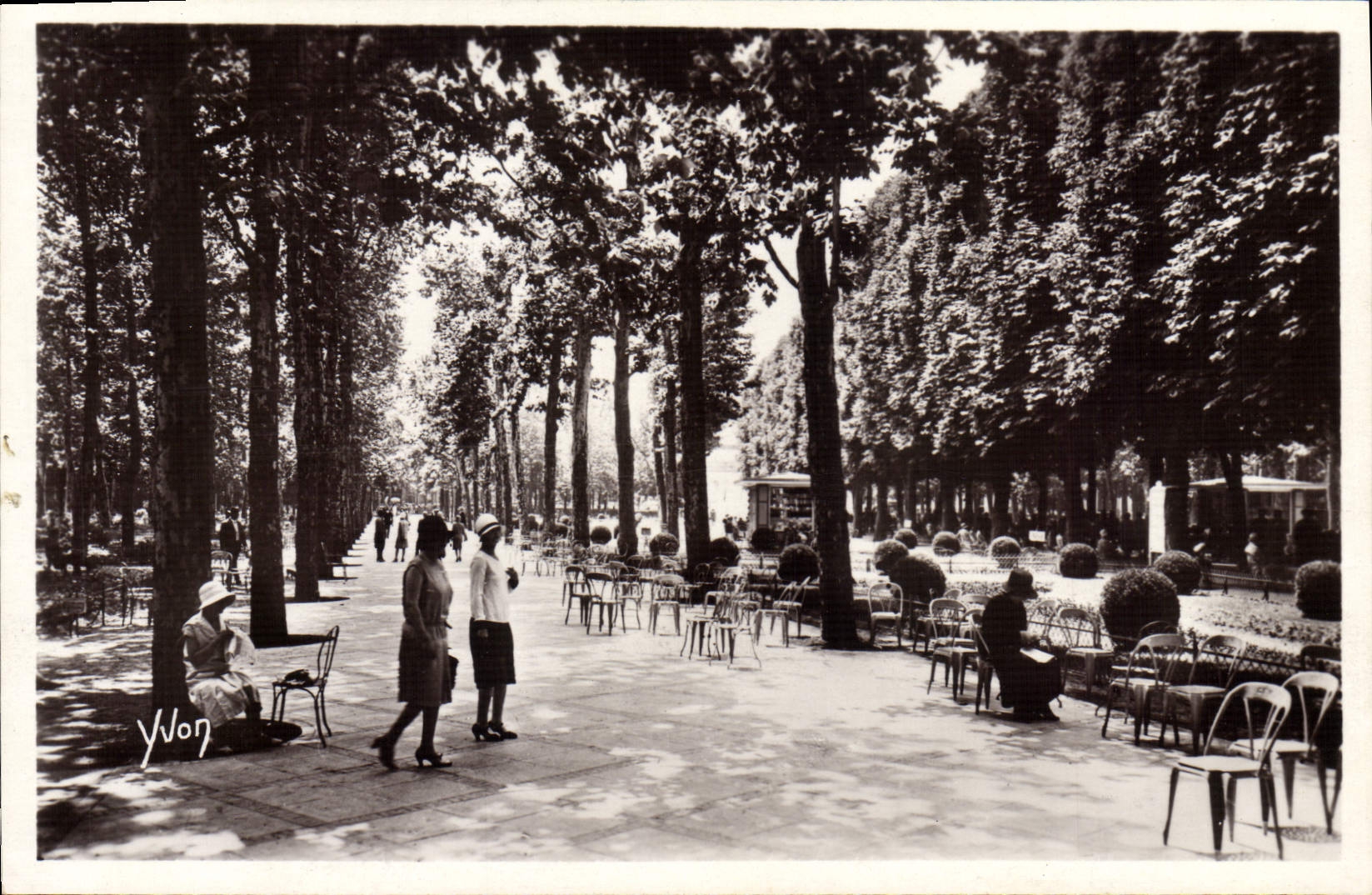 CPA Vichy Une Allee Du Parc Des Sources