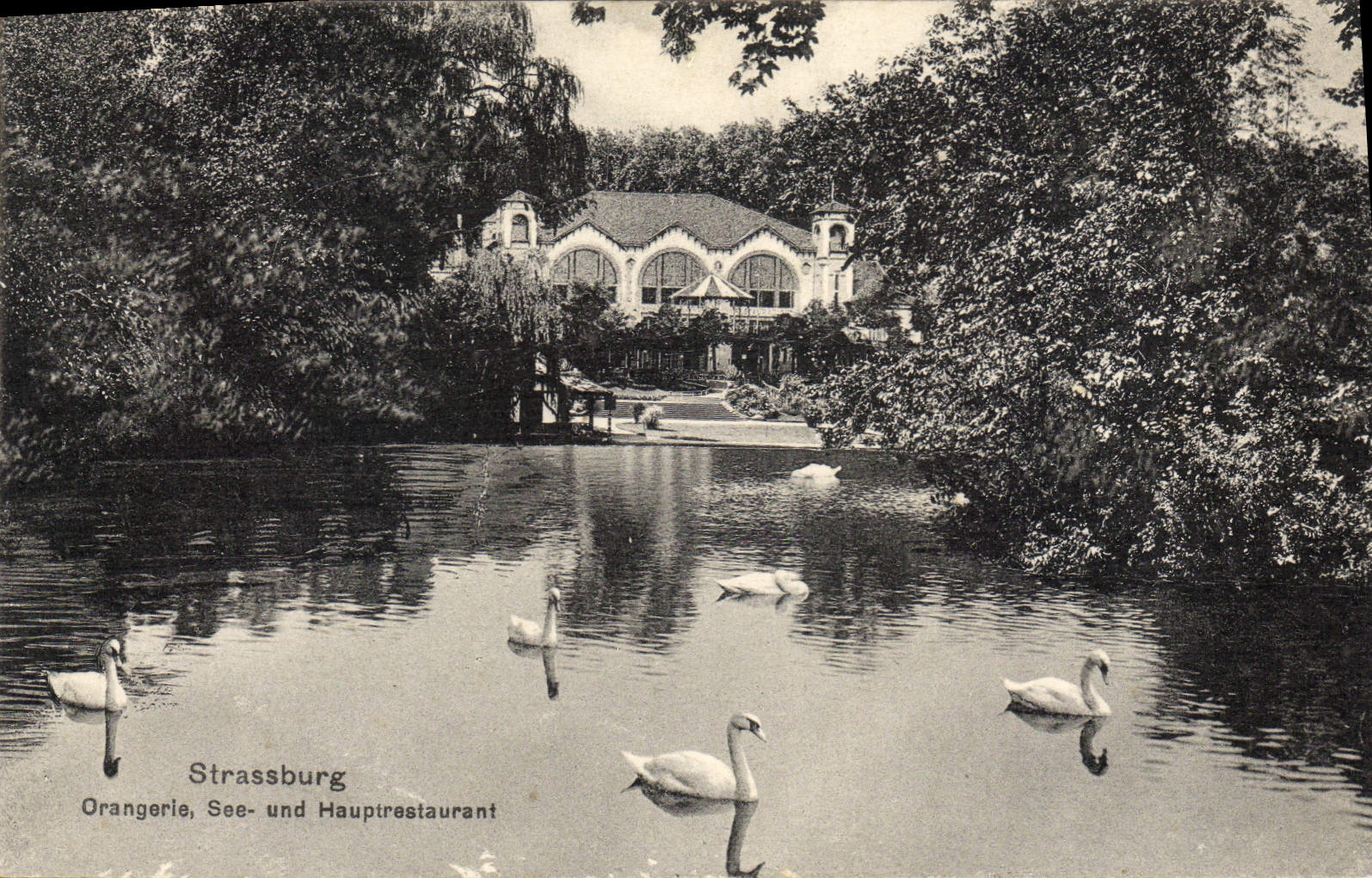 CPA Strassburg Orangerie See Und Hauptrestaurant Cygnes
