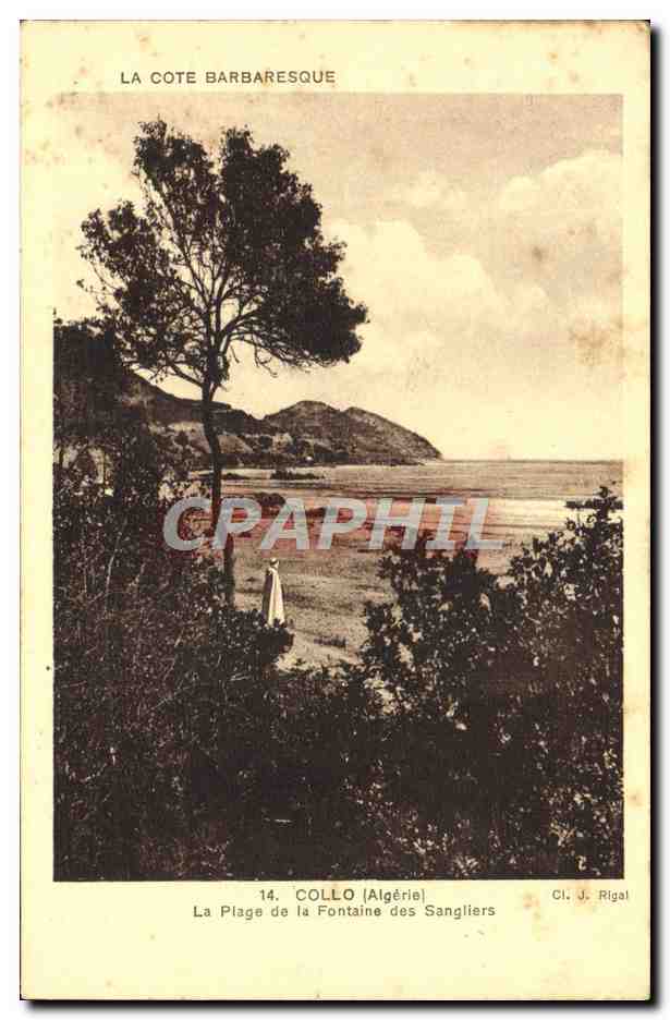 CPA Collo La Plage De La Fontaine Des Sangliers