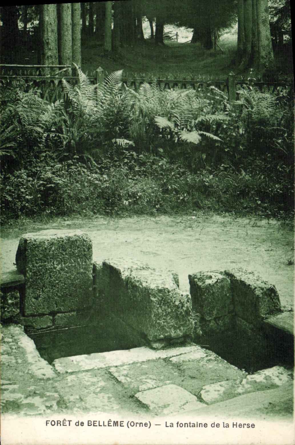 CPA Foret De Belleme La Fontaine De La Herse