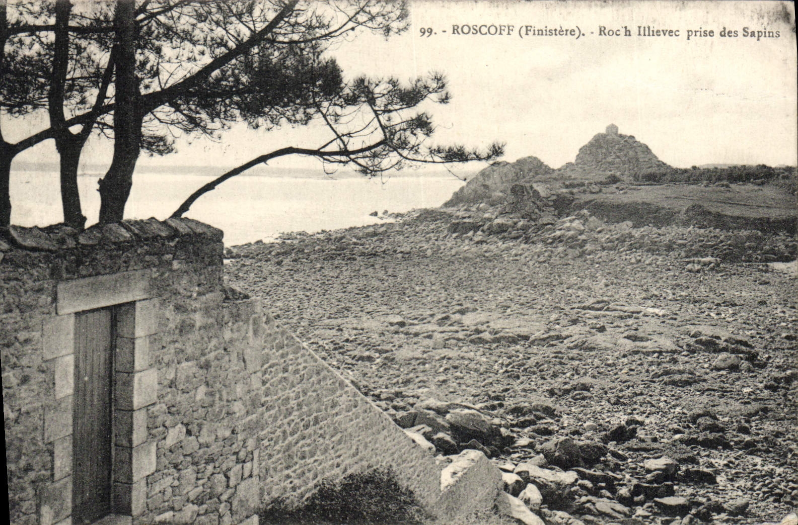 CPA Roscoff Roc'h Illievec Prise Des Sapins