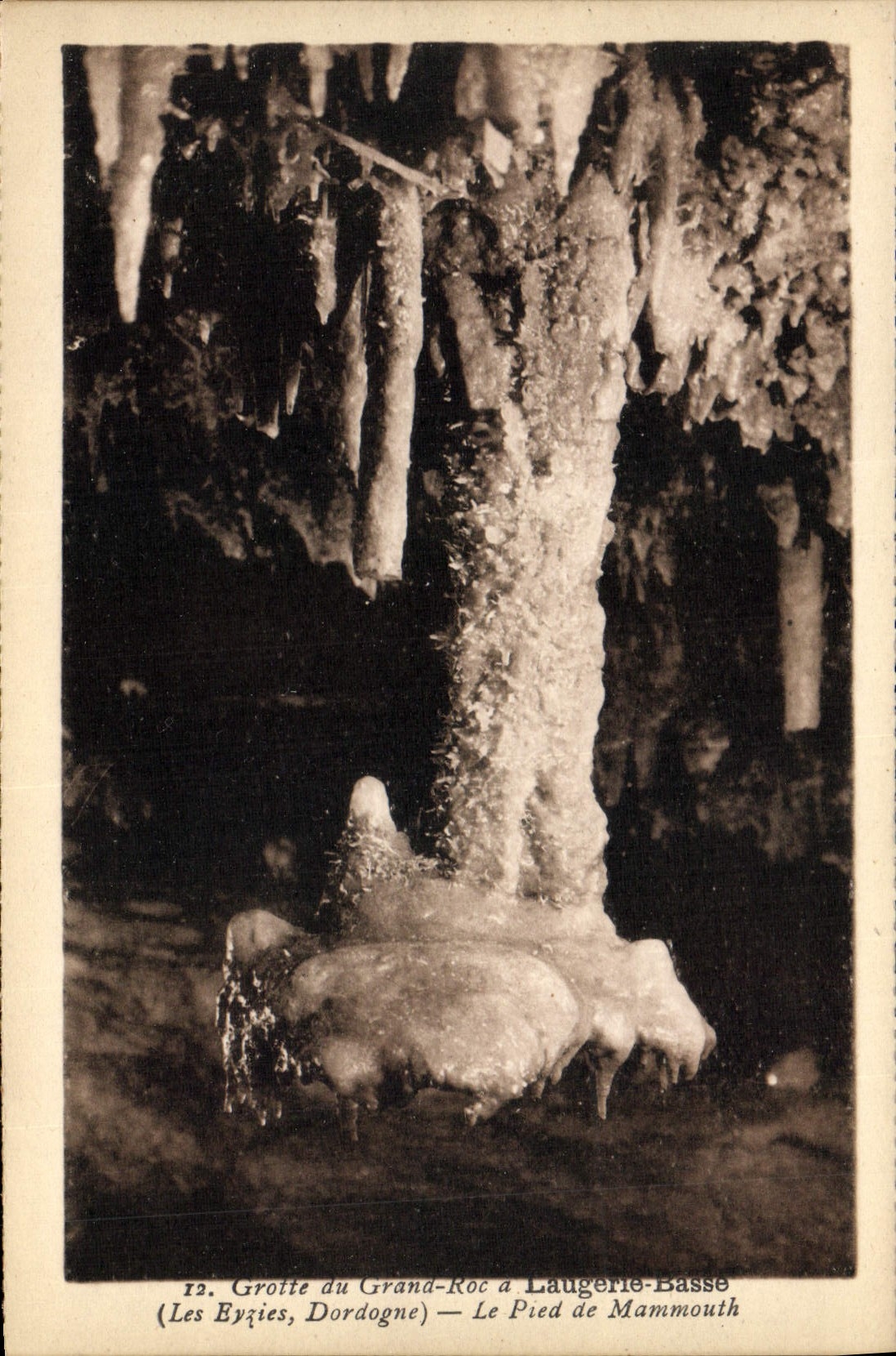 Höhle Grand-Roc in Laugerie-Basse — Das Mammutfuß — (Les Eyries, Dordogne)