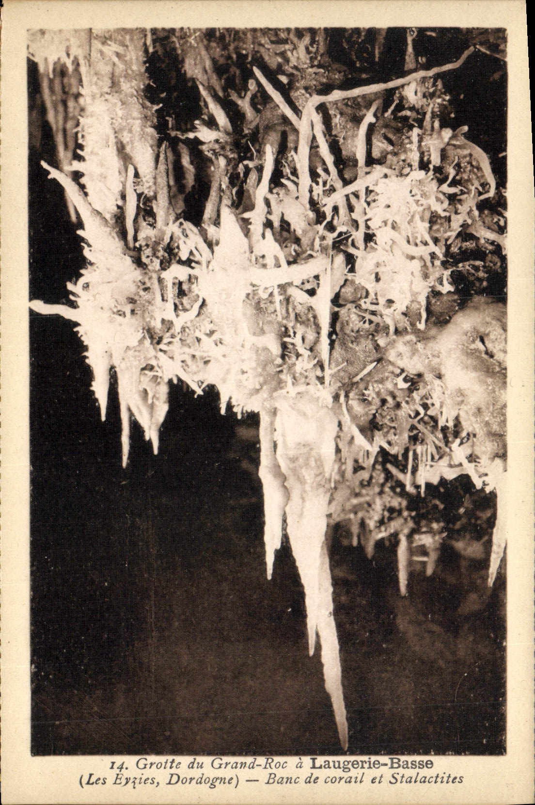 Grotte du Grand-Roc in Laugerie-Basse — Korallenbank und Stalaktiten — (Les Eyzies, Dordogne)