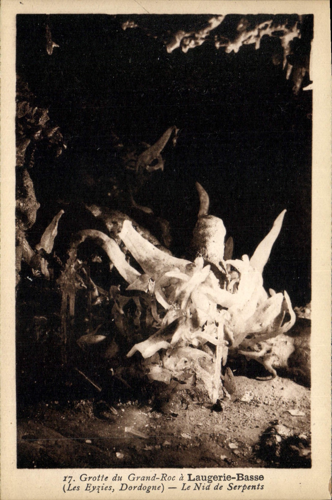 Höhle Grand-Roc in Laugerie-Basse — Das Schlangennest — (Les Eyzies, Dordogne)