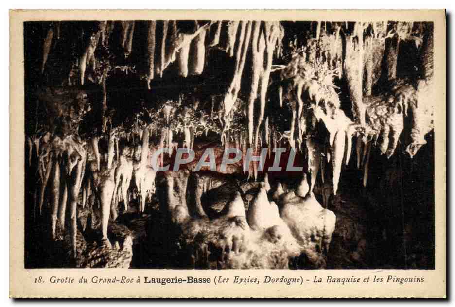 Höhle von Grand-Roc in Laugerie-Basse (Les Eyzies, Dordogne) — Die Eisbank und die Pinguine — n°18