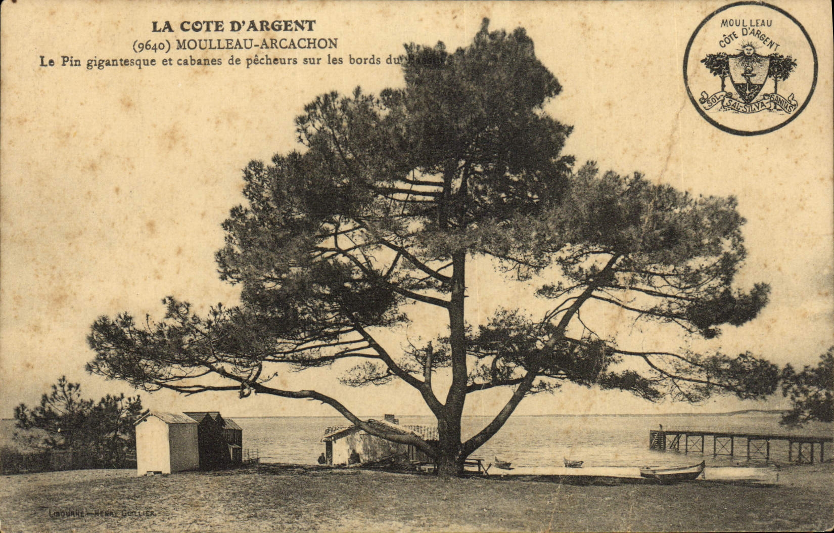 La Côte d'Argent — Le Pin gigantesque et cabanes de pêcheurs sur les bords du lac — Liboune-Henry Collier