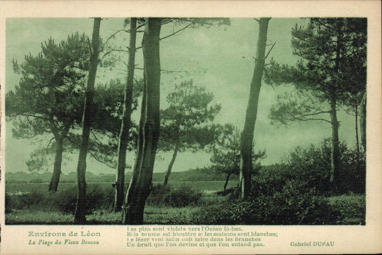 CPA Environs de Leon La plage du Vieux Boucau