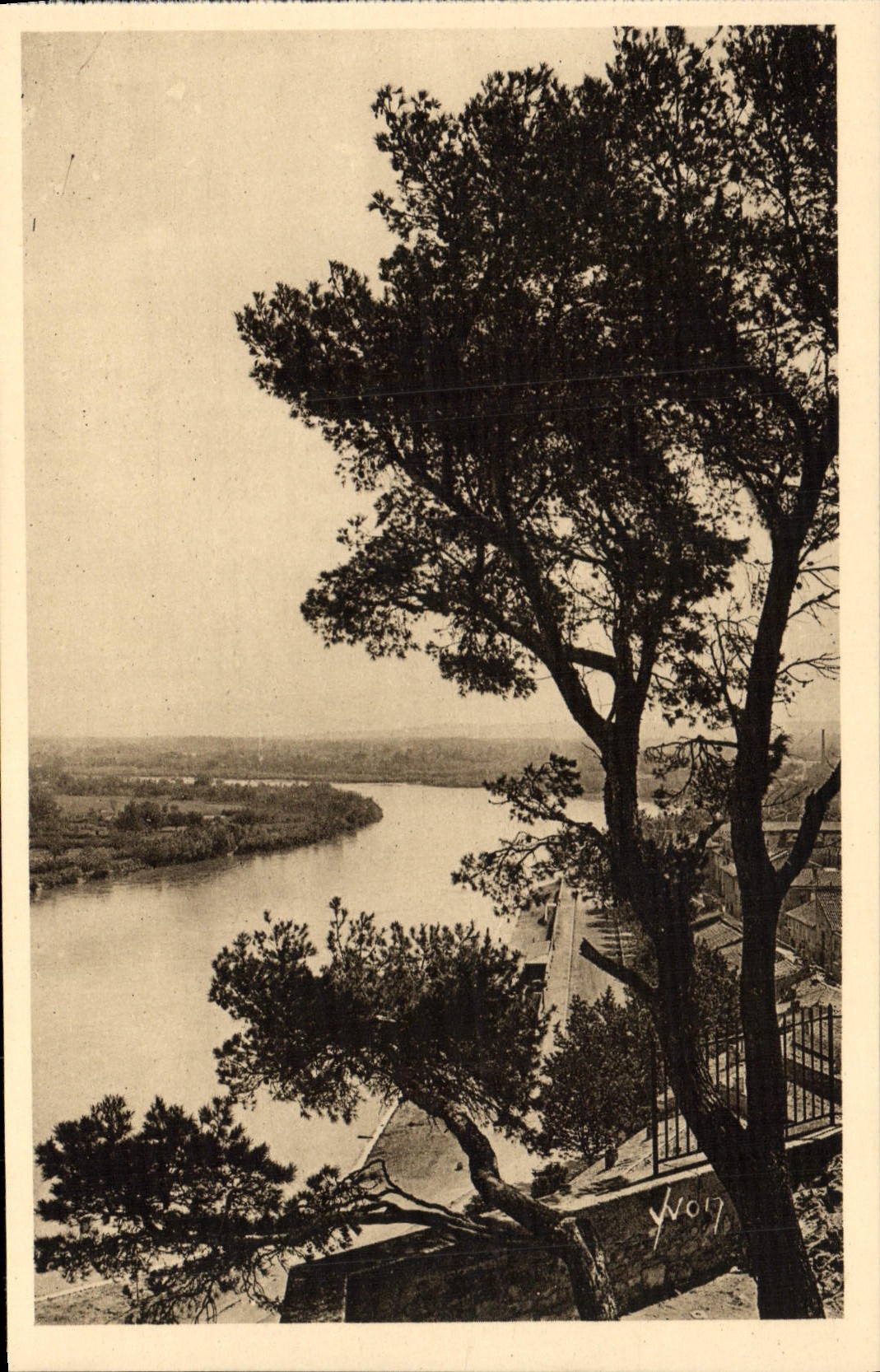 CPA Avignon Le Rhone Vu Du Rocher du Dom