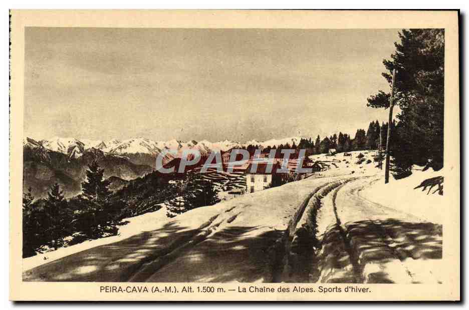 CPA Peira Cava La chaine des Alpes 