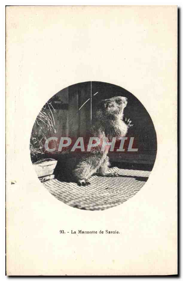 La Marmotte de Savoie — Série 93 — éditeur Meudamez, St-Germain-les-Bains