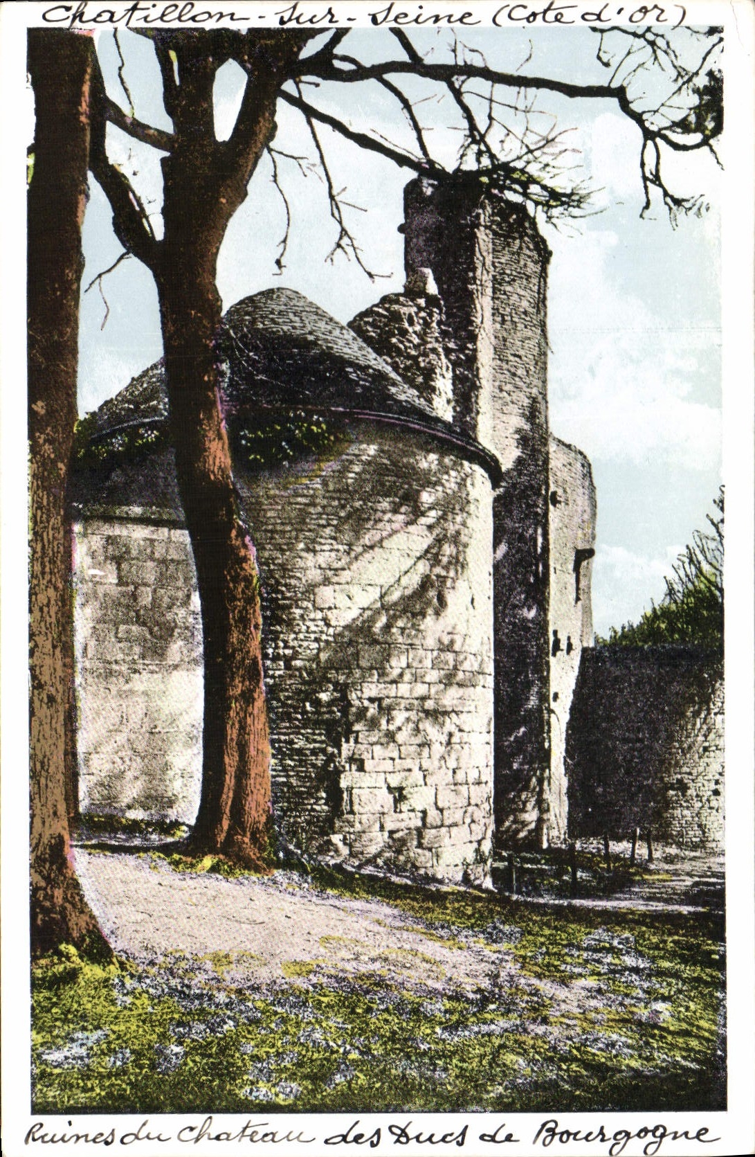 CPA Chatillon Sur Seine Ruines du chateau des Ducs de Bourgogne 