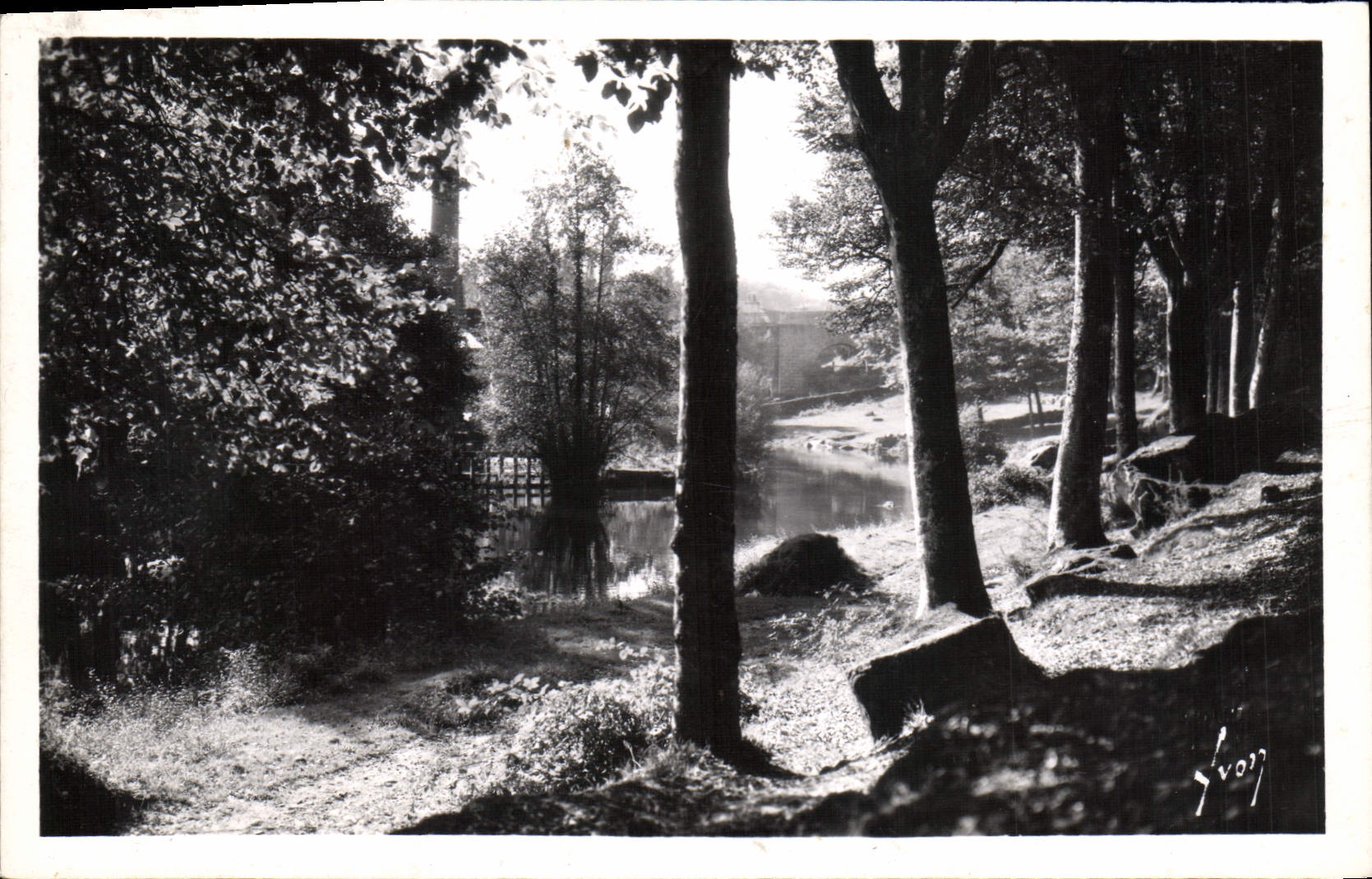 CPM Pont Aven Le Bois d'Amour