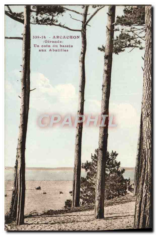 Arcachon — Un coin du bassin aux Abatilles — Artistic, 177, bd Brune, Paris