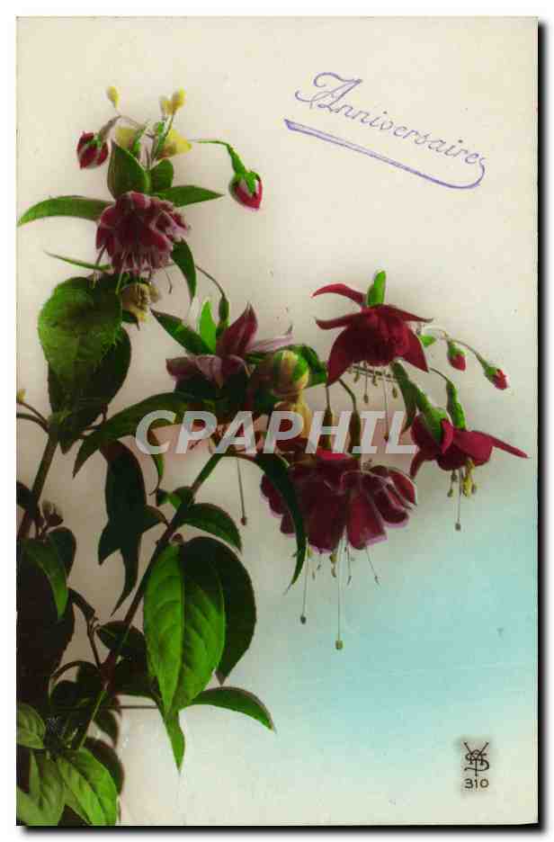 CPA Fantaisie Fleurs
