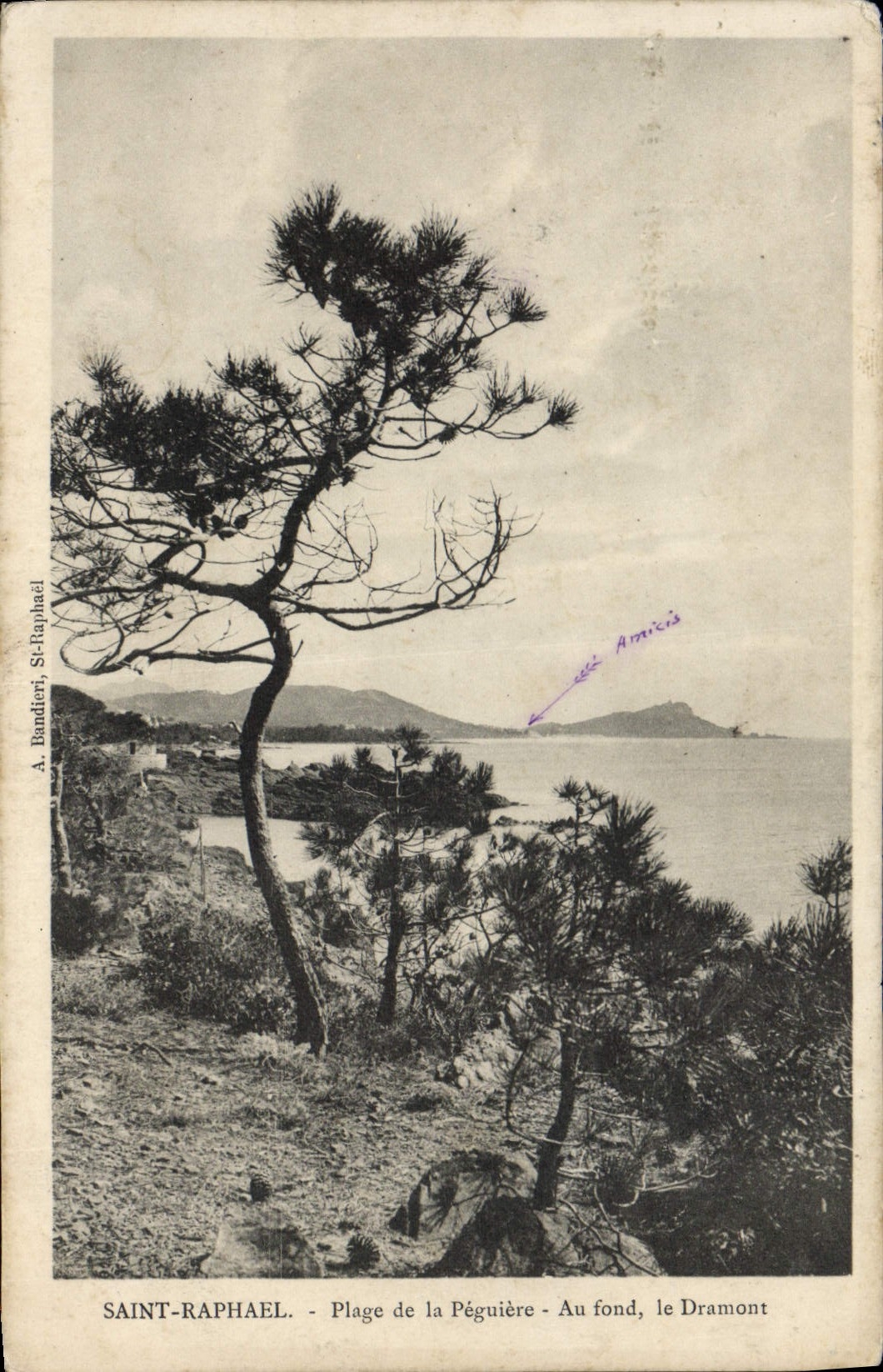 CPA Saint Raphael Plage De La Peguiere Au fond Le Dramont 