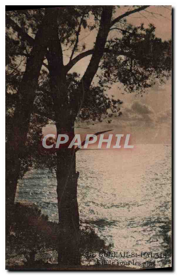 Bureau-St-Palais — Vue du lac sous les pins — Production Italienne
