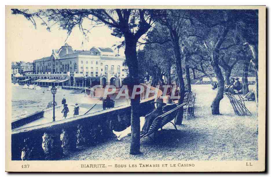 CPA Biarritz Sous Les Tamaris Et Le Casino