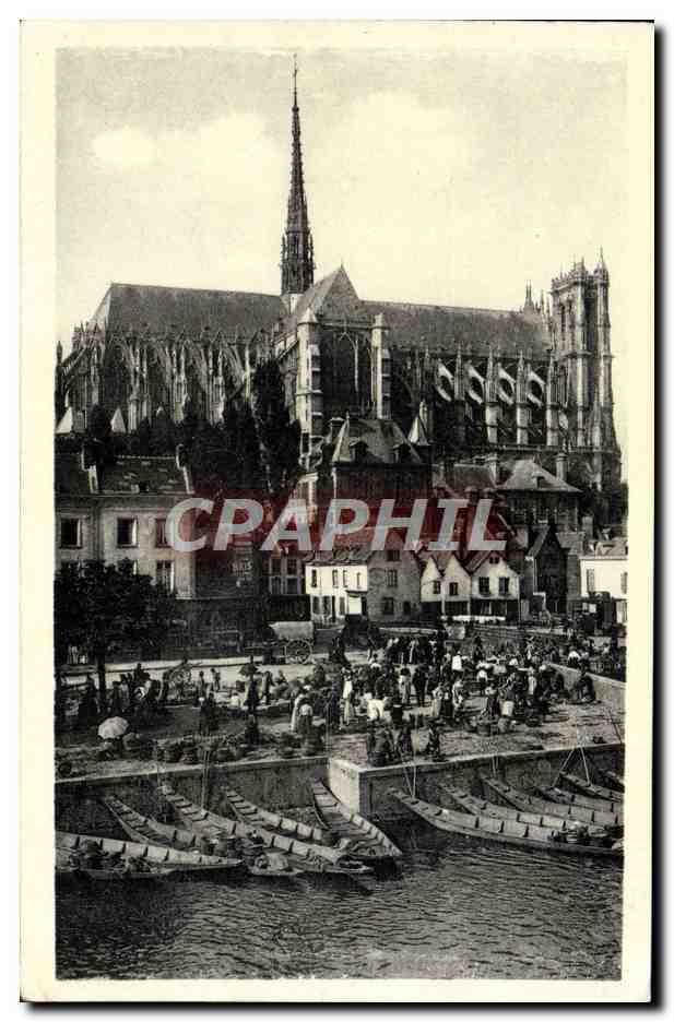 CPM Amiens La Cathedrale Et Le Marche Sur I'Eau