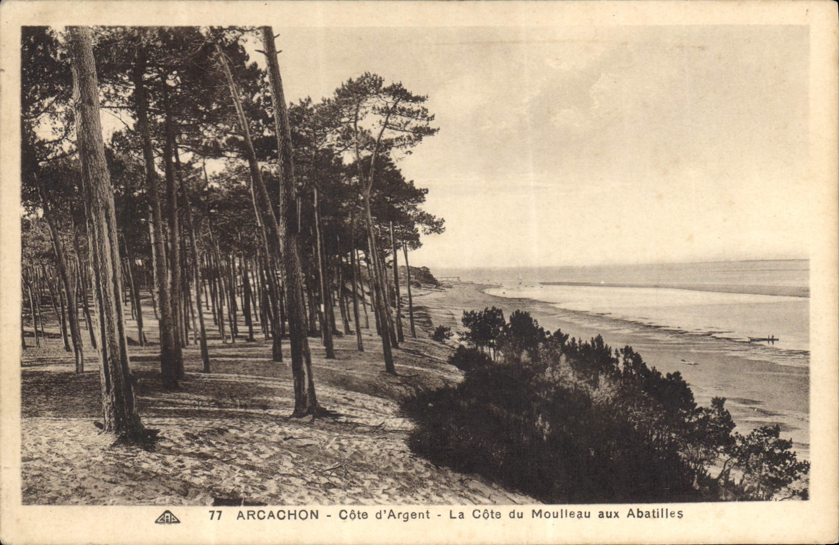 Arcachon - Côte d'Argent - La Côte du Moulleau aux Abatilles — CPA n°77, éditeur CPAPHIL