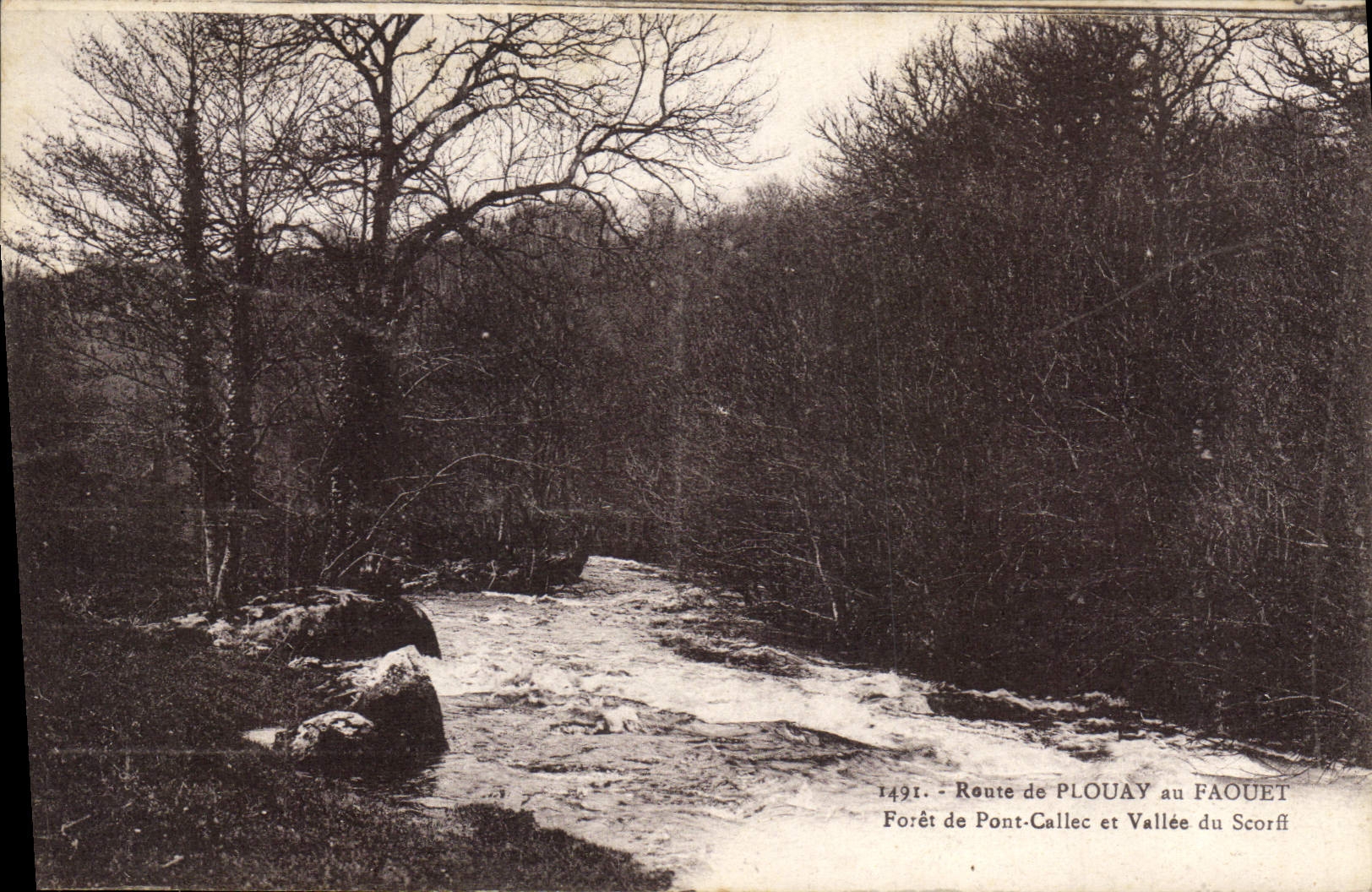Route de Plouay au Faouët — Forêt de Pont-Callec et Vallée du Scorff — n°1491