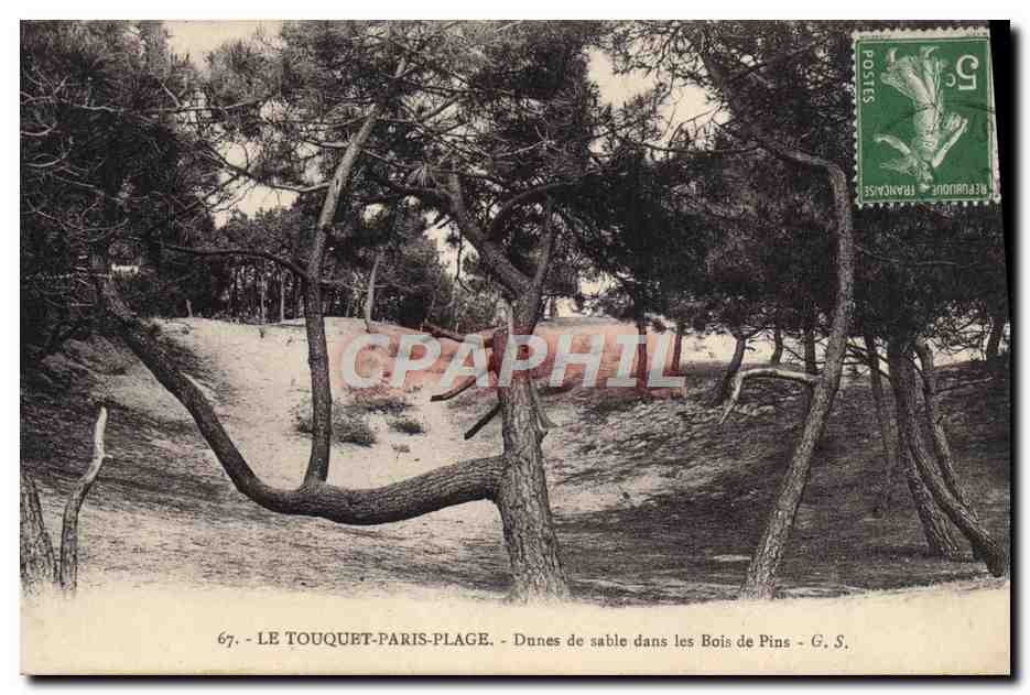 Le Touquet-Paris-Plage — Sanddünen in den Pinewäldern — G. S.